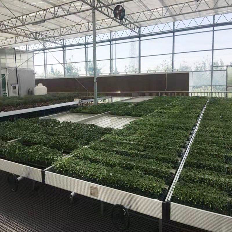 章丘蔬菜大棚