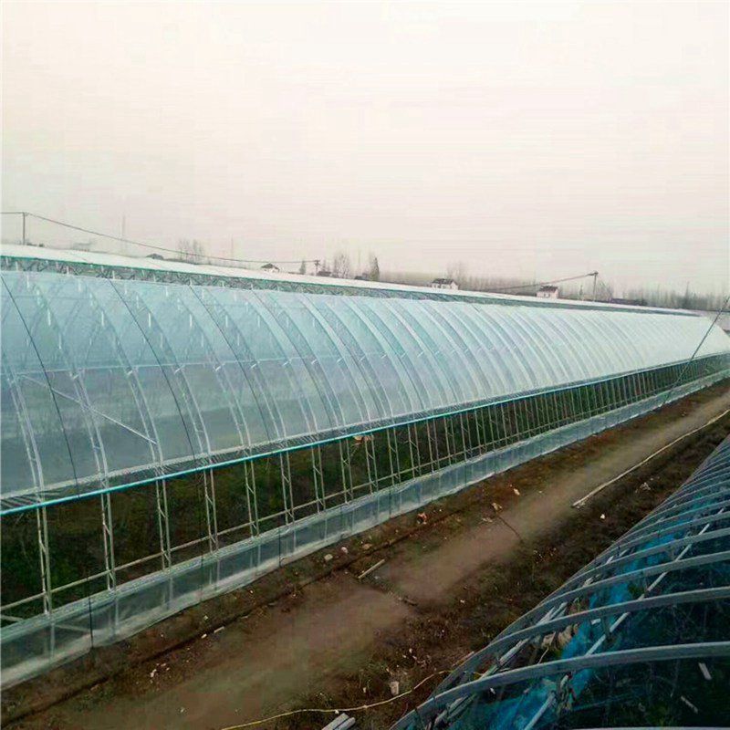章丘蔬菜大棚