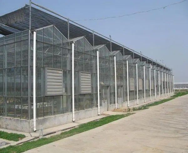 章丘連棟溫室大棚