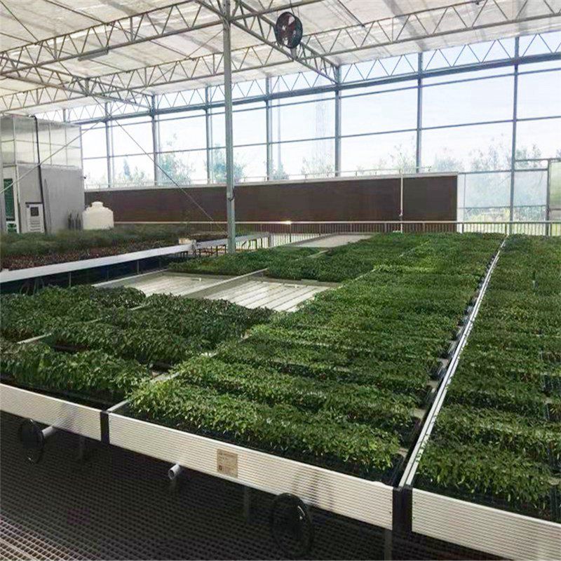 章丘蔬菜大棚